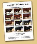 11th Annual Bull Sale Catalog