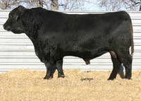 Prairielane Ideal 1418-0051