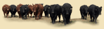 Hamco Cattle Co.