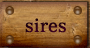 Sires